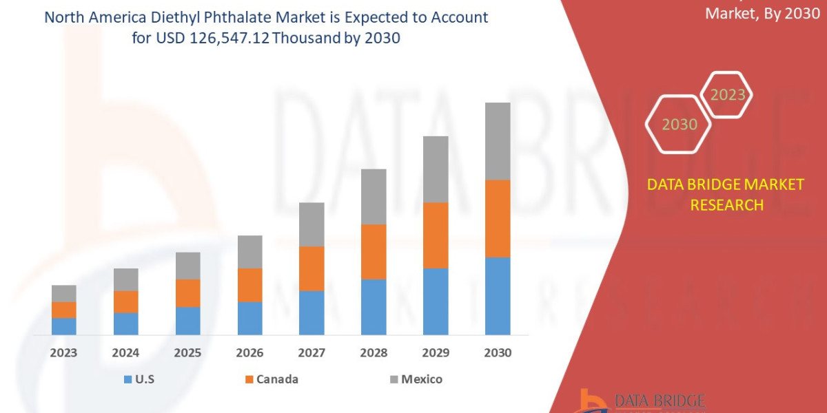 North America Diethyl Phthalate Market Size, Share, Trends, Demand, Growth, Challenges and Competitive Outlook